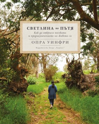 Светлина по пътя
