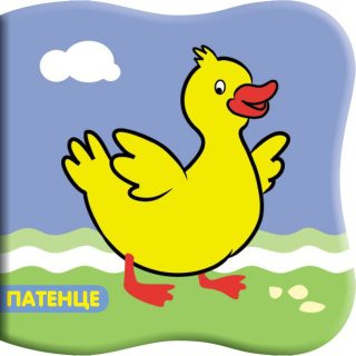 КНИГА ЗА БАНЯ ПАТЕНЦЕ