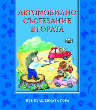 АВТОМОБИЛНО СЪСТЕЗАНИЕ В ГОРАТА