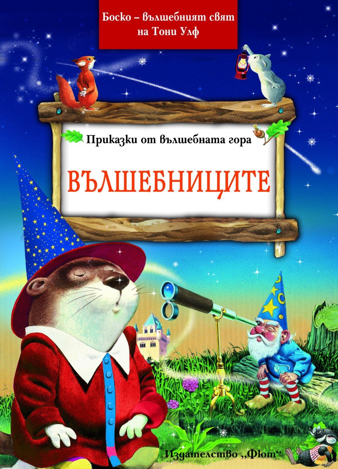 ПРИКАЗКИ ОТ ВЪЛШЕБНАТА ГОРА: ВЪЛШЕБНИЦИТЕ