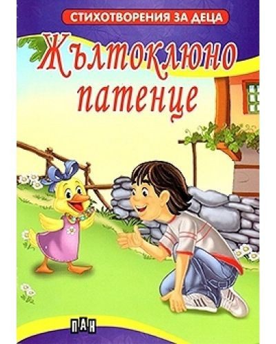 Жълтоклюно патенце