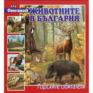 Опознай животните в България. Горските обитатели
