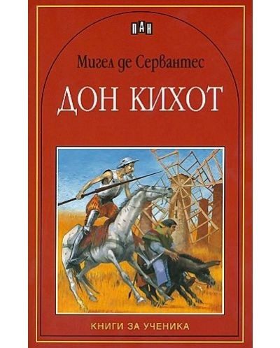 Дон Кихот, Пан