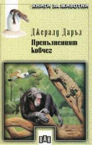 Препълненият ковчег