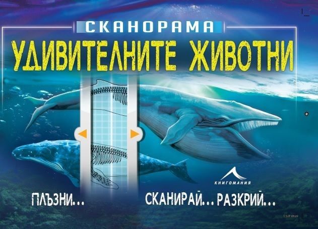 Удивителните животни. "Сканорама"