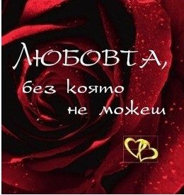 Любовта, без която не можеш