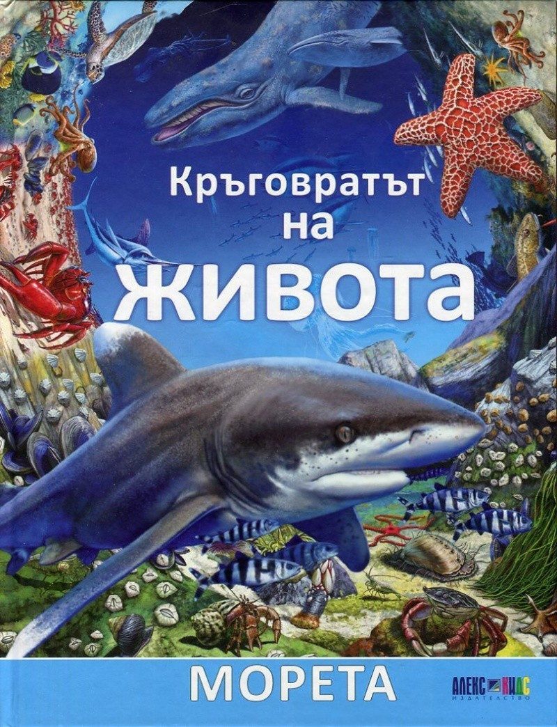 Кръговратът на живота: Морета