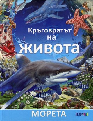 Кръговратът на живота: Морета