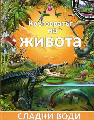 Кръговратът на живота: Сладки води