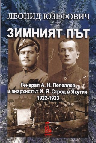 Зимният път