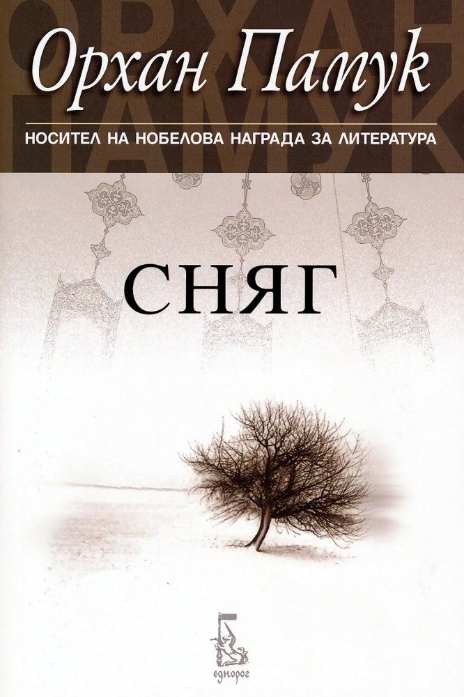 Сняг