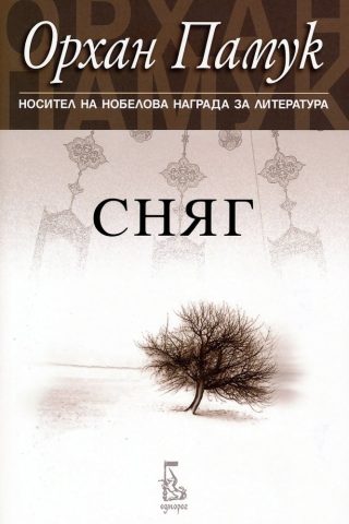 Сняг