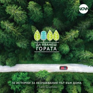 Да хванеш гората. 30 истории за неочаквания път към дома
