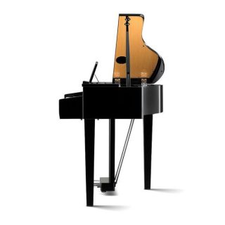 Дигитално гранд пиано Kawai DG 30