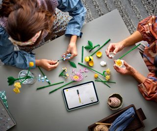 LEGO® Icons 10347 - Малък слънчев букет