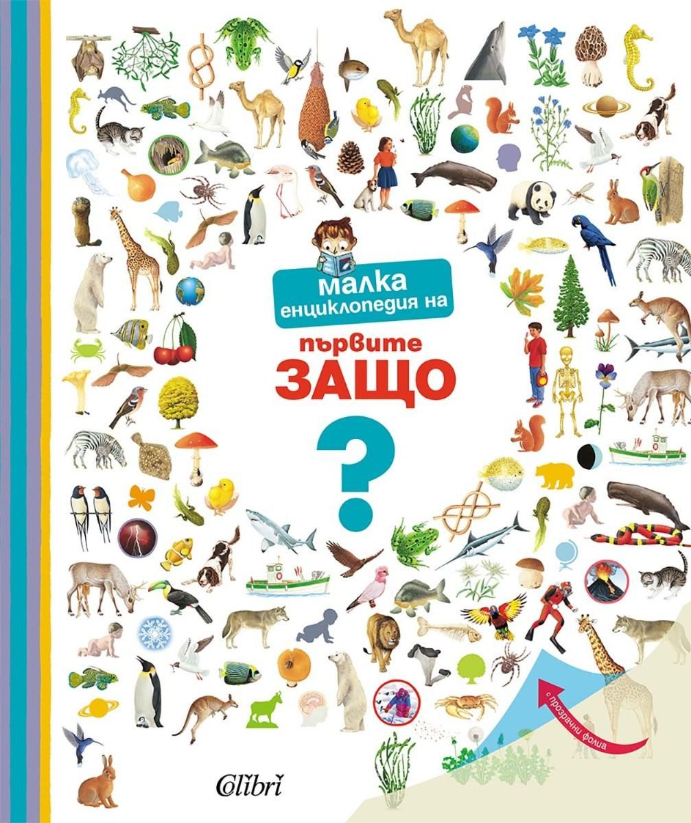 Малка енциклопедия на първите ЗАЩО