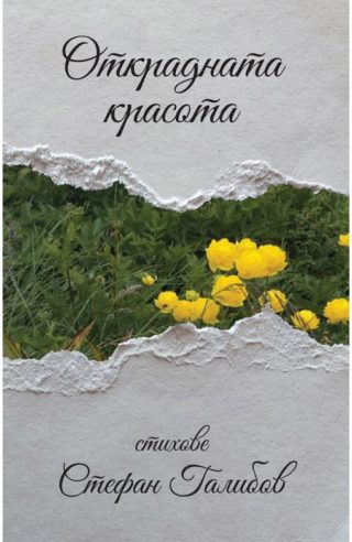Открадната красота. Стихове