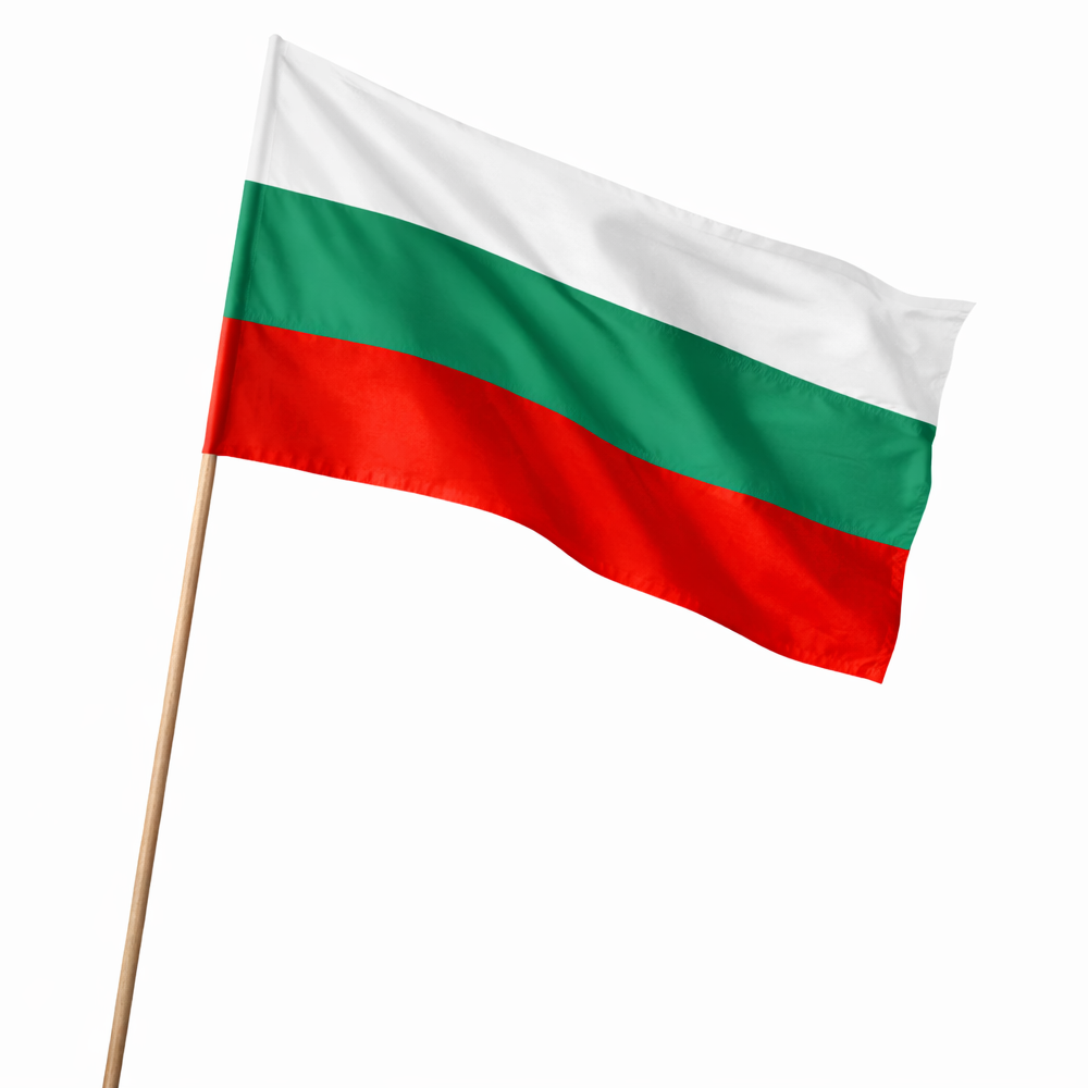 Знаме България 30/50 см. с дървена дръжка