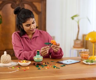 LEGO® Icons 10368 - Хризантема