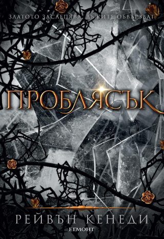 Проблясък - книга 2