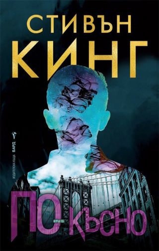 По-късно - Стивън Кинг