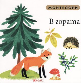 Монтесори - В гората