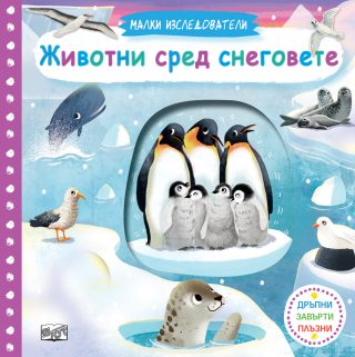 Малки изследователи - Животни сред снеговете