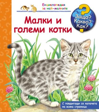 Малки и големи котки - Защо? Какво? Как?