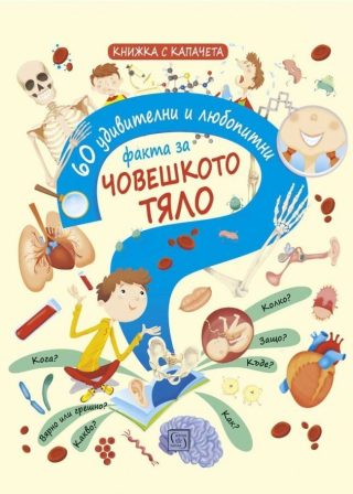 60 удивителни и любопитни факта за човешкото тяло