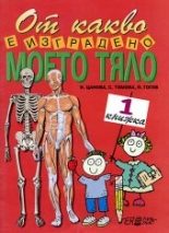 От какво е изградено моето тяло