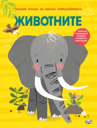 Голяма книга за малки откриватели - Човешкото тяло