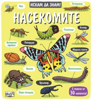 Искам да знам! - Насекомите