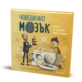 Човешкият мозък