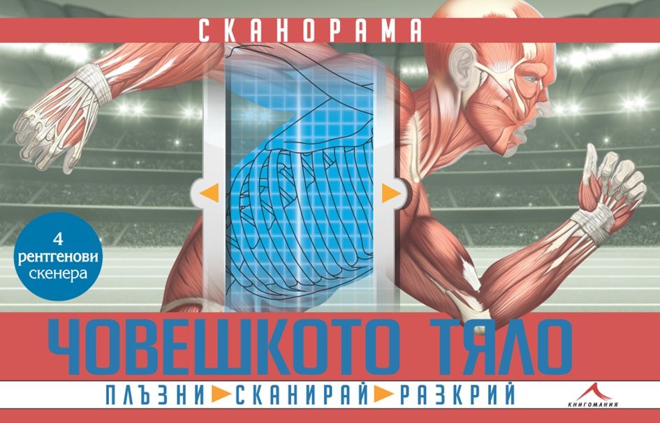 Човешкото тяло - Сканорама