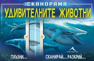 Удивителните животни - Сканорама