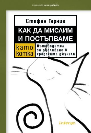 Как да мислим и постъпваме като котка