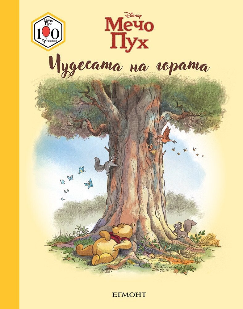 Мечо Пух - Чудесата на гората