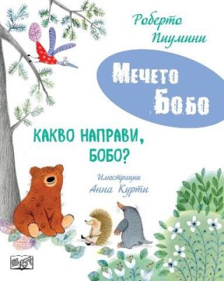 Мечето Бобо - Какво направи, Бобо