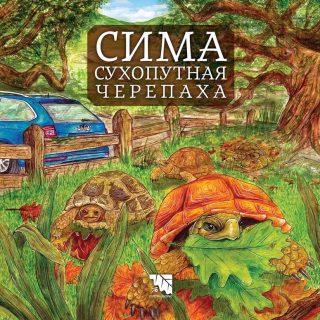 Сима - сухопутная черепаха