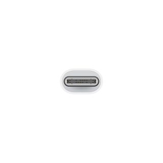 Apple Lightning to USB Cable