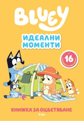 Блуи - Идеални моменти