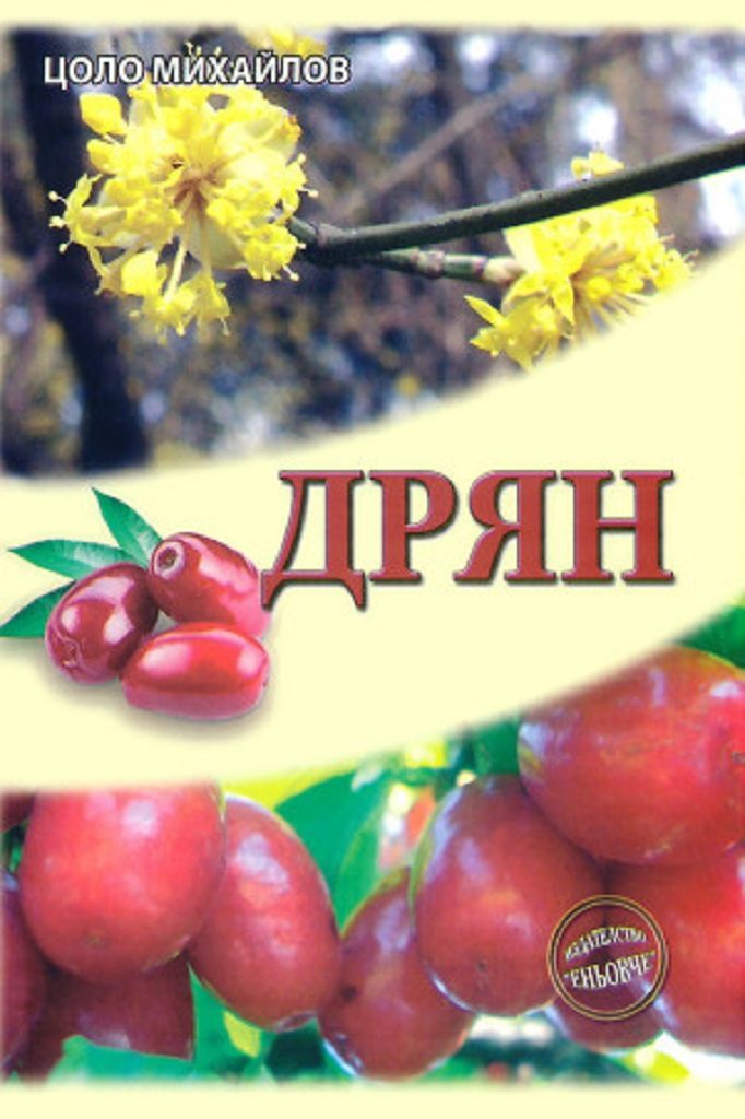 Дрян