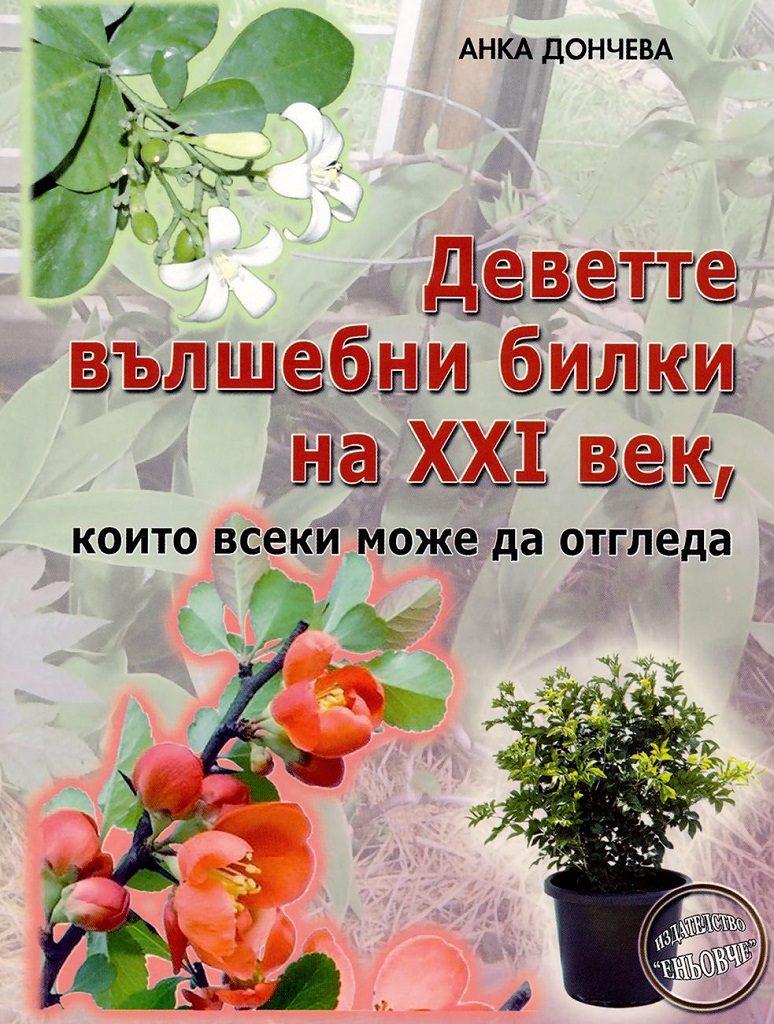 Деветте вълшебни билки на XXI век, които всеки може да отгледа
