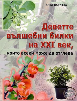 Деветте вълшебни билки на XXI век, които всеки може да отгледа