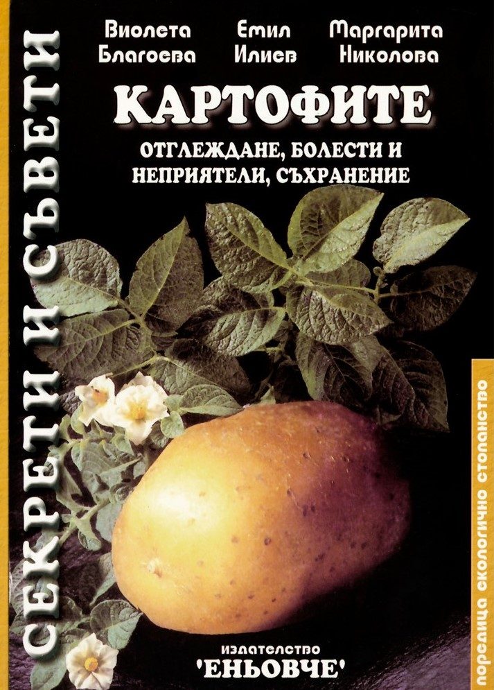 Картофите - Отглеждане, болести и неприятели, съхранение