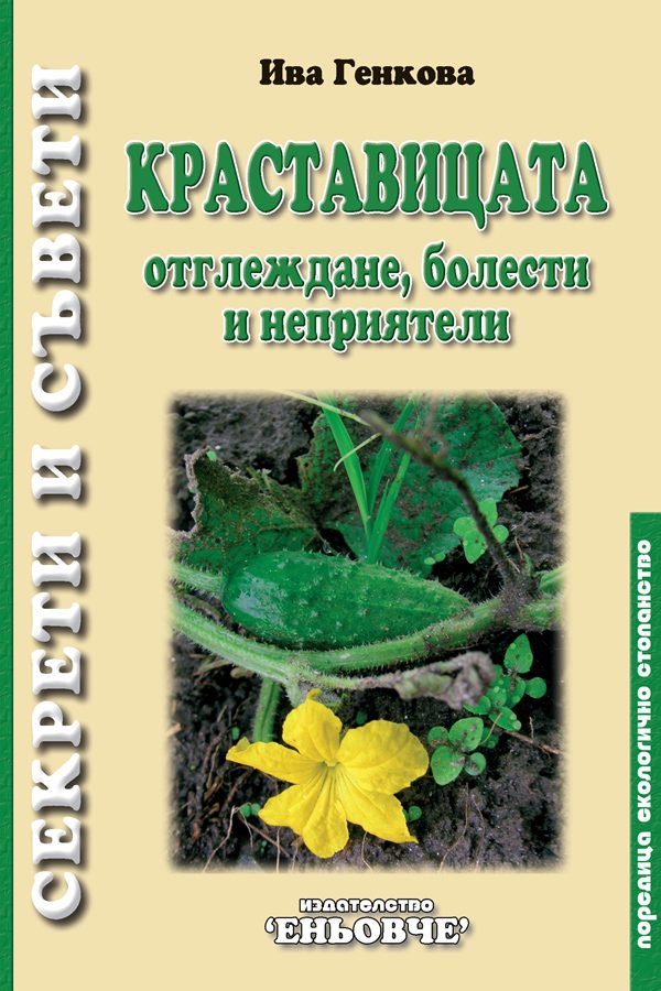 Краставицата - Отглеждане, болести и неприятели