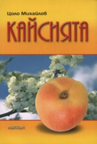 Кайсията
