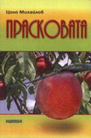 Прасковата