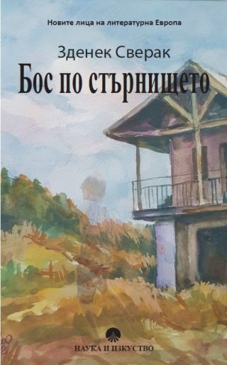 Бос по стърнището