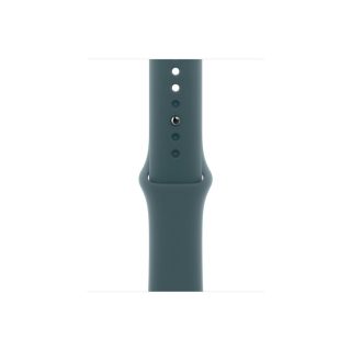 Apple Watch 42mm Sport Band: Lake Green Sport Band - M/L (Seasonal)